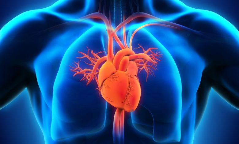 Diagnosis And Treatment for Heart Disease
