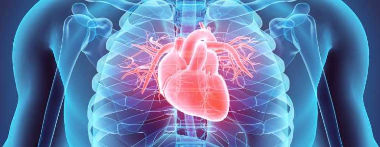 Open Heart Surgery