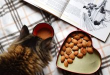 How to Make These Soft and Pliable Cat treats