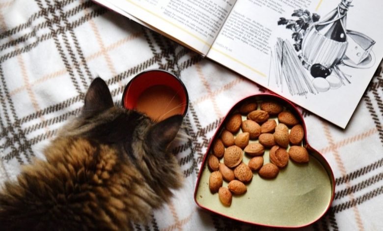 How to Make These Soft and Pliable Cat treats