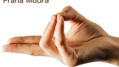 Methods, Benefits, and Precautions of Prana Mudra