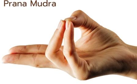 Methods, Benefits, and Precautions of Prana Mudra