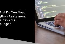 Python Assignment Help