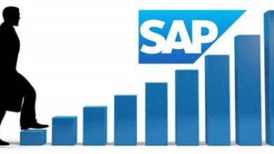 How does SAP help in maximizing business performance?