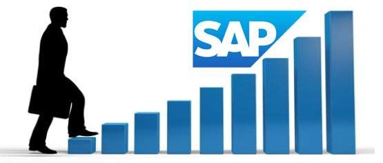 How does SAP help in maximizing business performance?