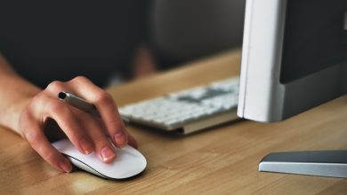 employment agency in Brampton