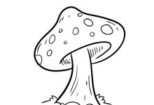 Mushroom