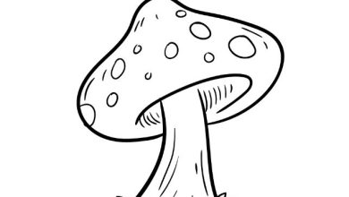 Mushroom