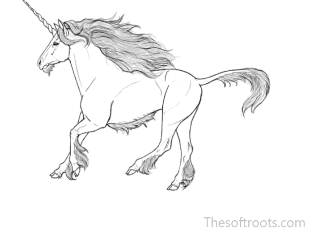 Unicorn