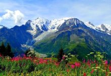 Should you really visit the Valley of Flowers?