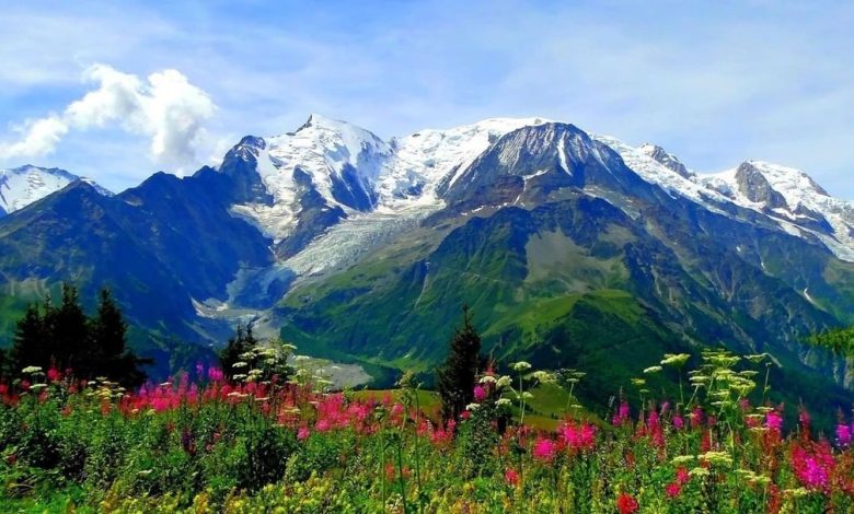 Should you really visit the Valley of Flowers?