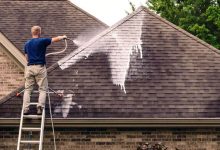 roof cleaning